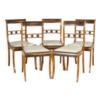 19th Century English Chairs in Sheraton Style, Set of 5