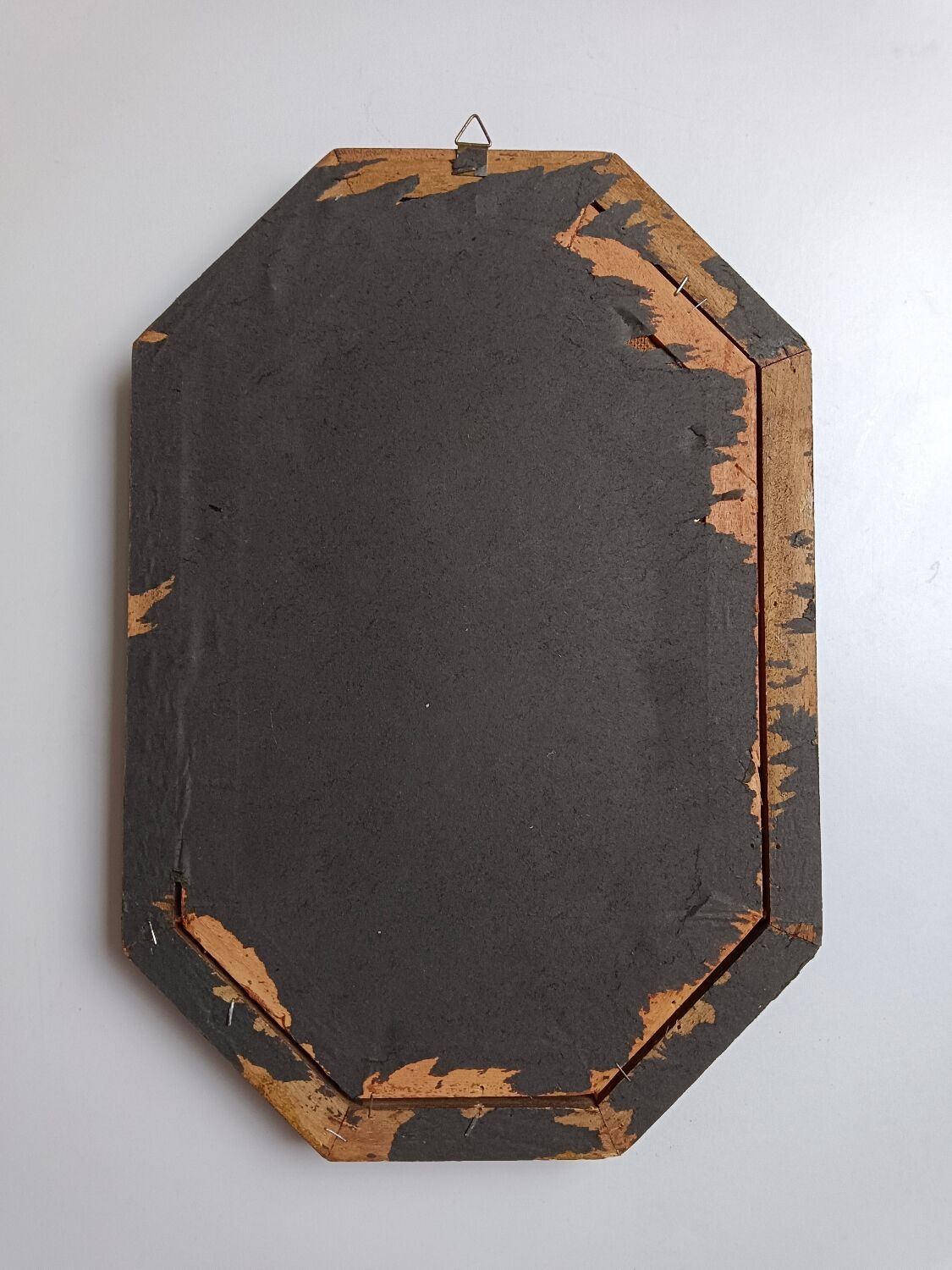 Old octagonal frame lithograph flower plant