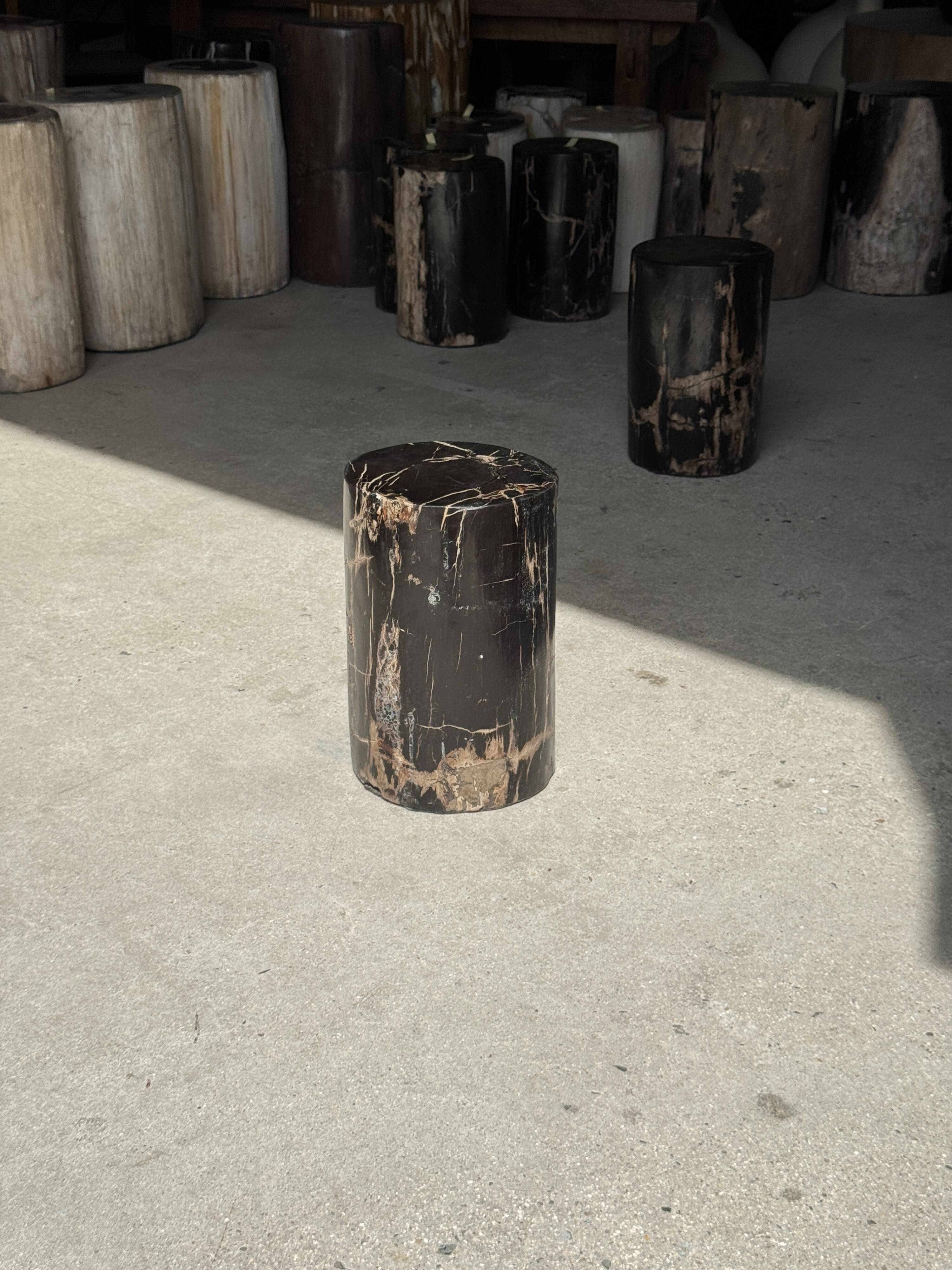 Small black petrified wood side table with beige stripes H28 D18 - 3347