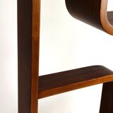 Restored Mid-Century Room Divider by Ludvik Volak for Drevopodnik Holesov, 1960s