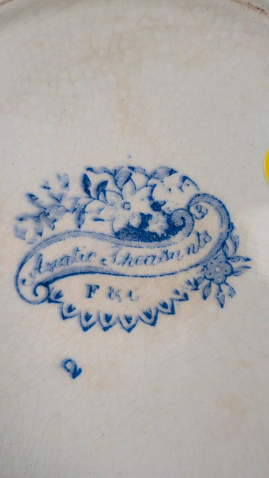 Old English plate – "Asiatic Pheasants" pattern