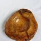 Caramel ocher alabaster ashtray Romano Bianchi Italy