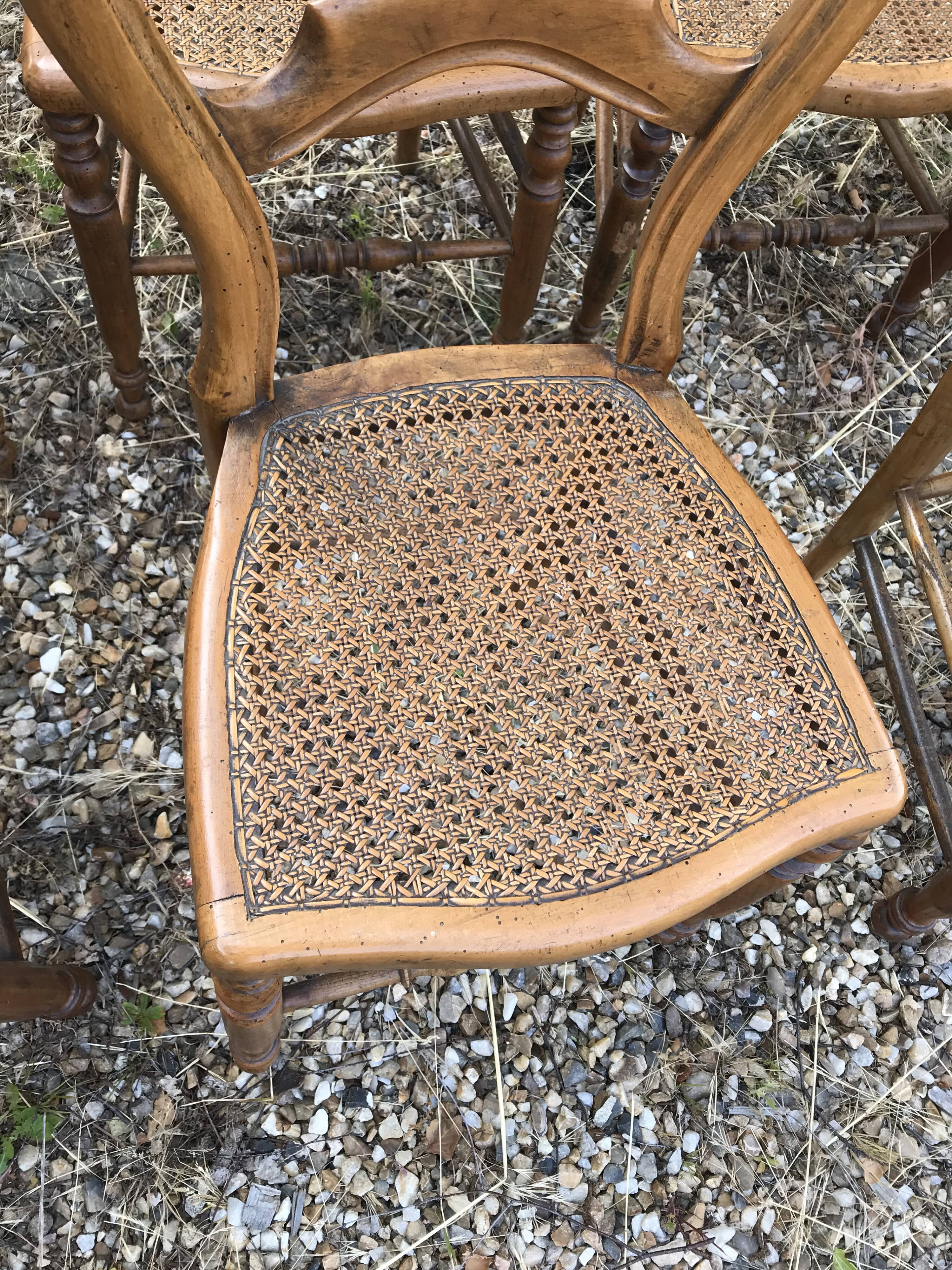 8 chairs Louis Philippe