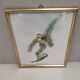 Lithography illustration bird Parus C-ruleus vintage engraving gilded frame