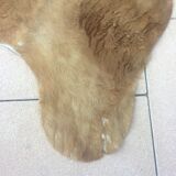 Cowhide leather, color brown glazed