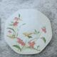 Service 36 pieces in Spanish porcelain Pontesa