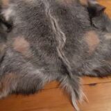 New goat skin