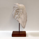 Carved stone head sculpture