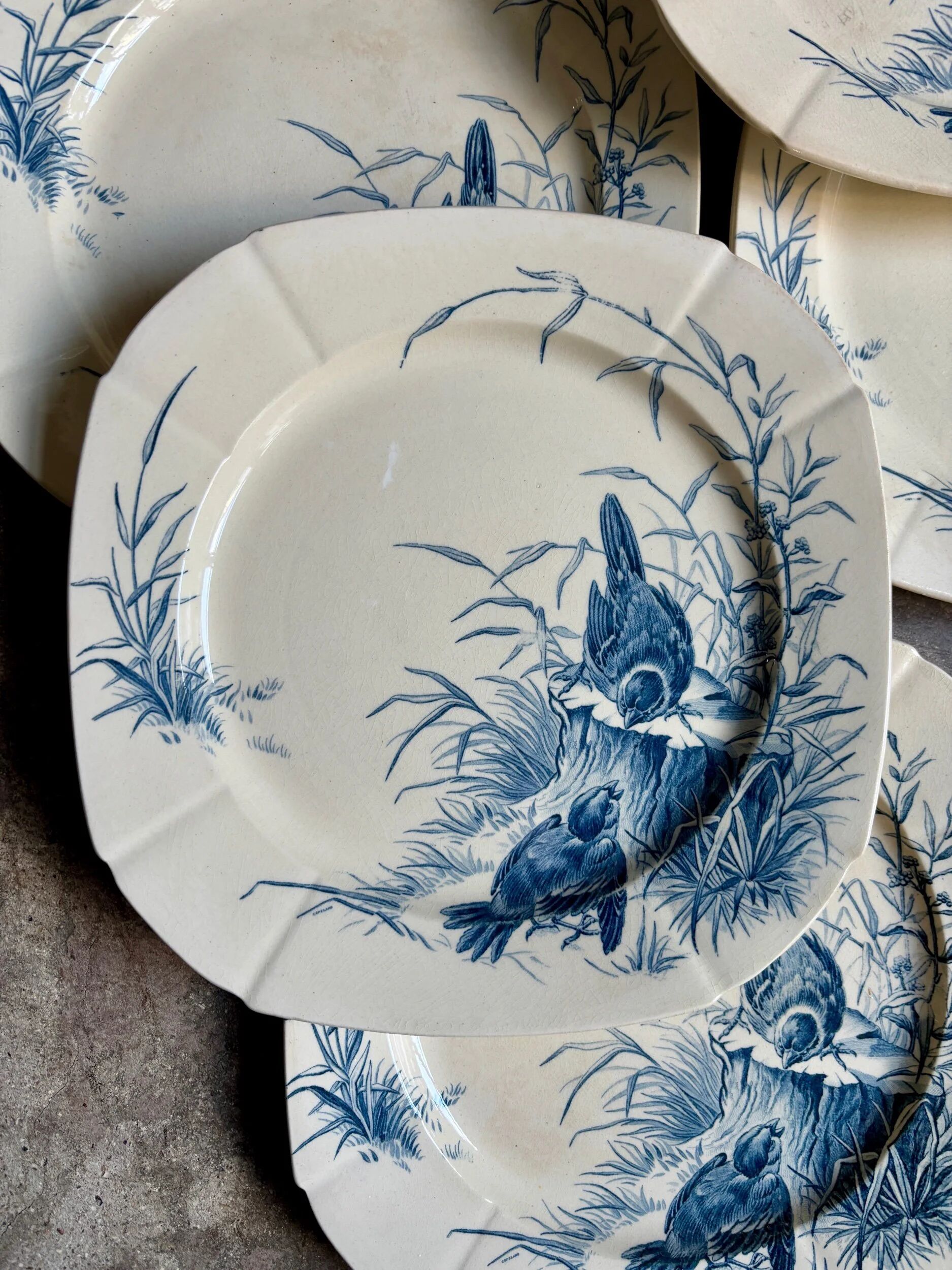 6 blue ironstone flat plates from Gien, "Birds" service, circa 1870, no. 1