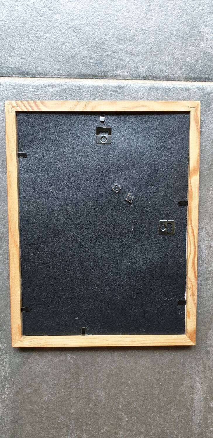 Calville apple botanical board