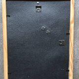 Calville apple botanical board