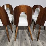Dining Chairs by Antonin Suman, 1960s, Set of 6