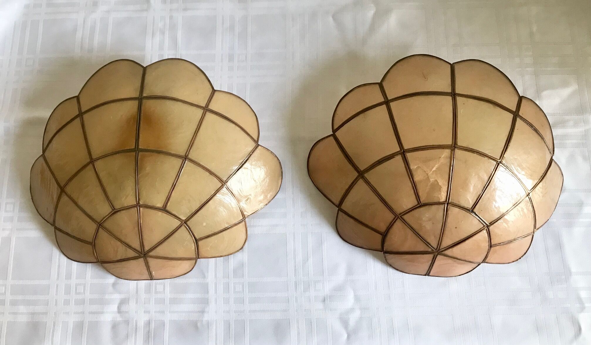 Pair of mother-of-pearl shell sconces
