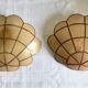 Pair of mother-of-pearl shell sconces