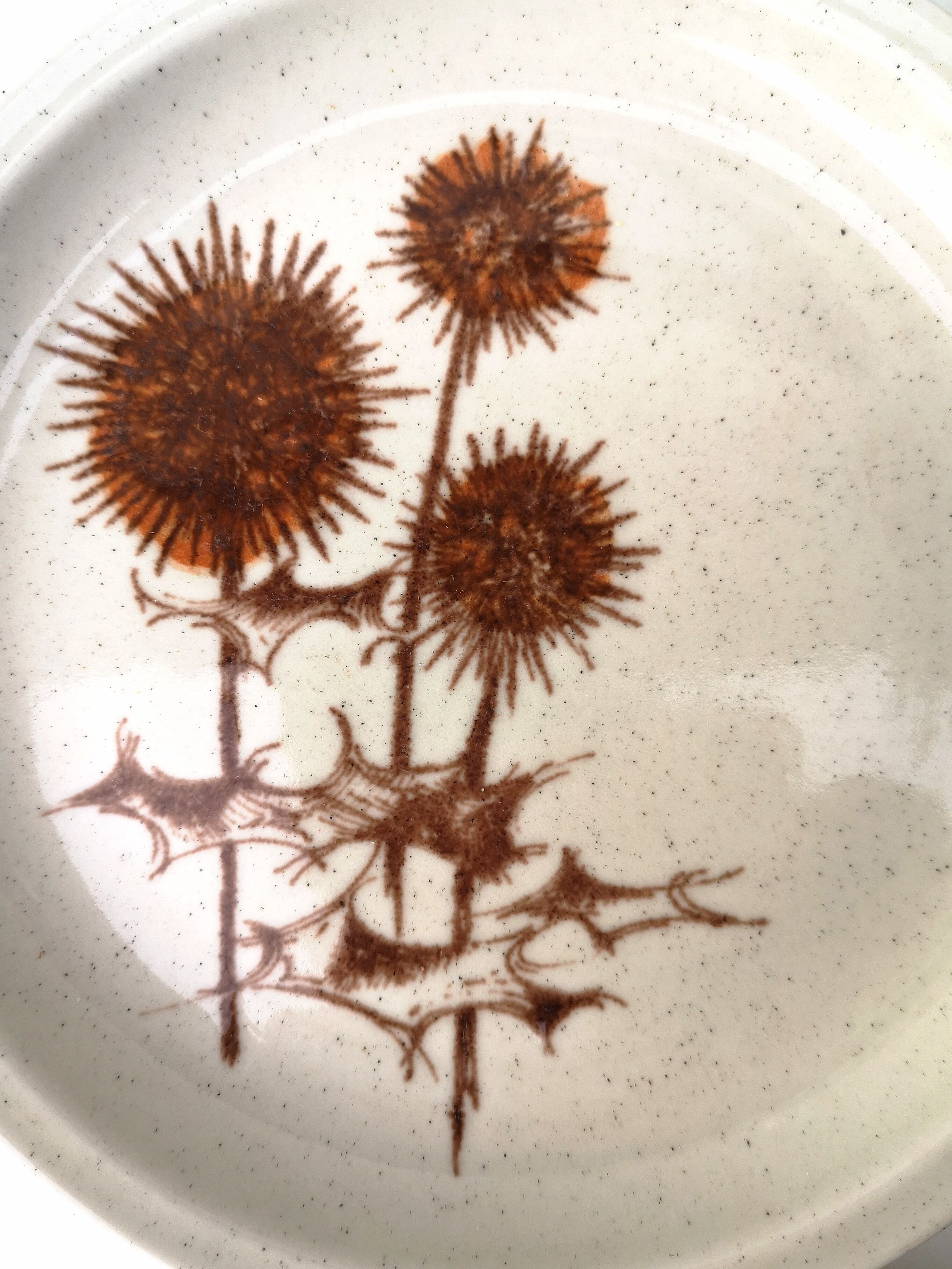 Set of 4 dessert plates and 1 “Thistle” bowl