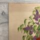 Watercolor bouquet lilac vintage