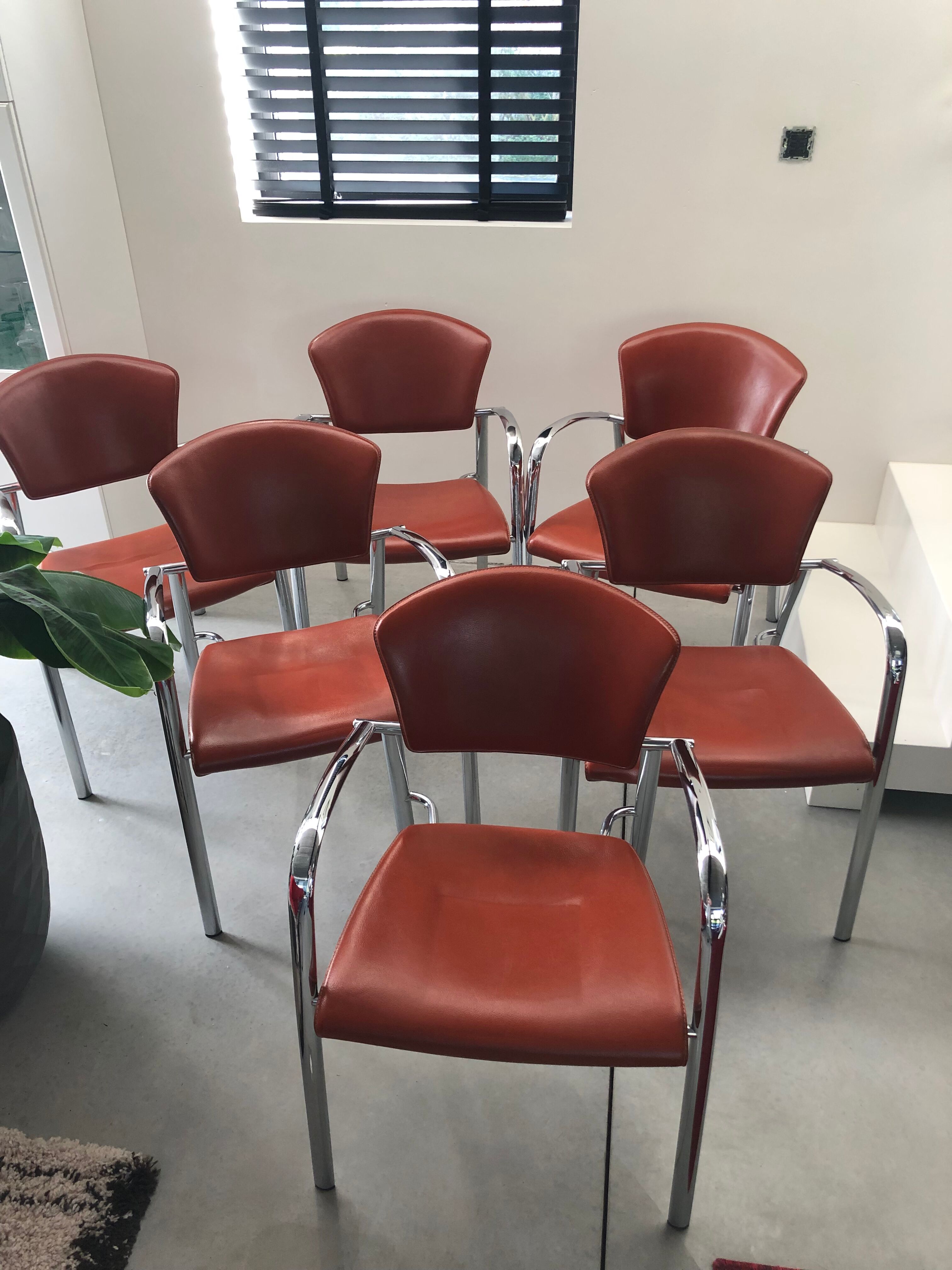 Set of 6 american design chairs, Brayton international