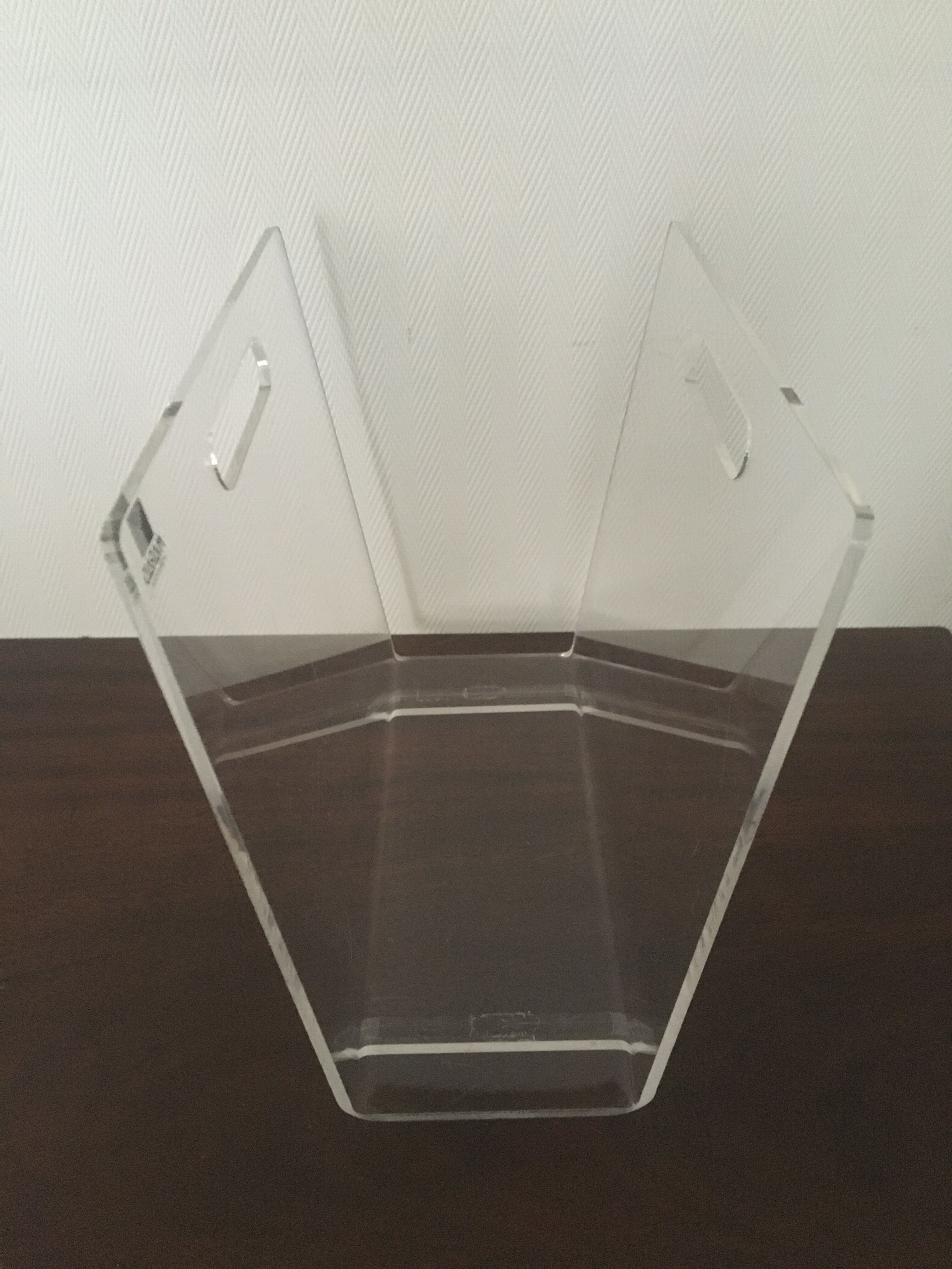 Plexiglas review door