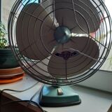 Fan indola