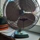 Fan indola
