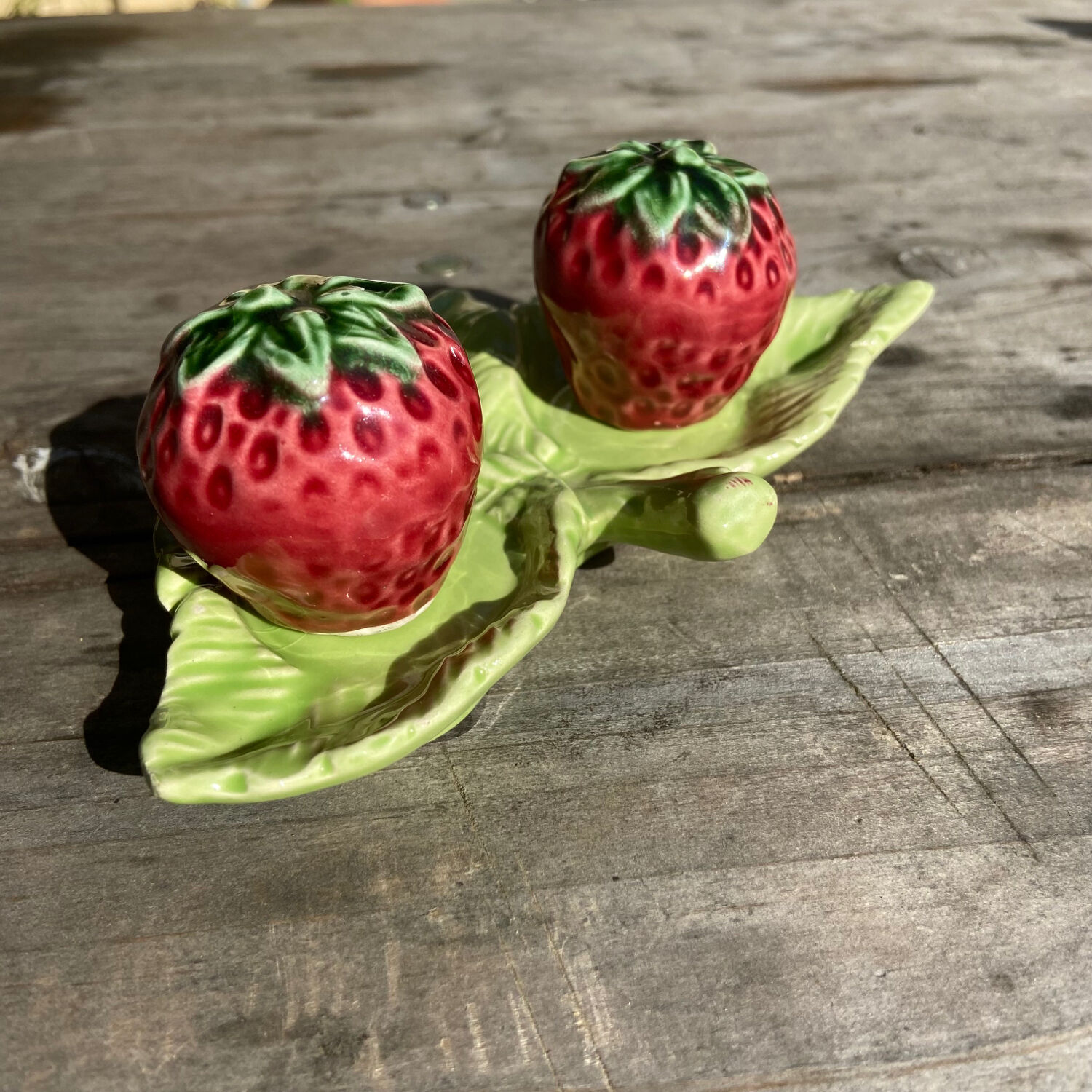 Salt shaker and pepper shaker in slip