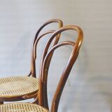 Two chairs turpe n°14 bistrot 1900 cans