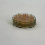 Set of 6 vintage coasters