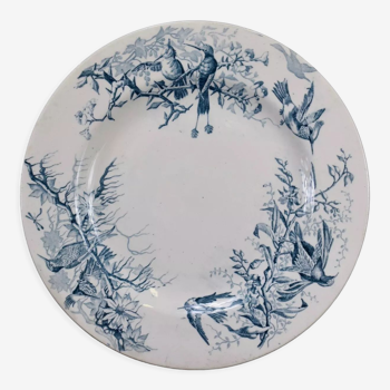 Plate colibri luneville in faience white and blue