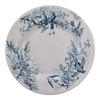 Assiette plate colibri luneville en faience blanche et bleue