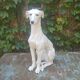 Ceramic greyhound life-size Italy