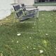 Pair of armchairs