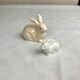 Ceramic Rabbits