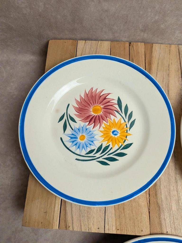 Set of 6 ironstone plates HBC – Rustic Model – Hand-painted floral design