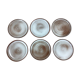 Set of 6 plates in stoneware J&N Pierlot Ratilly