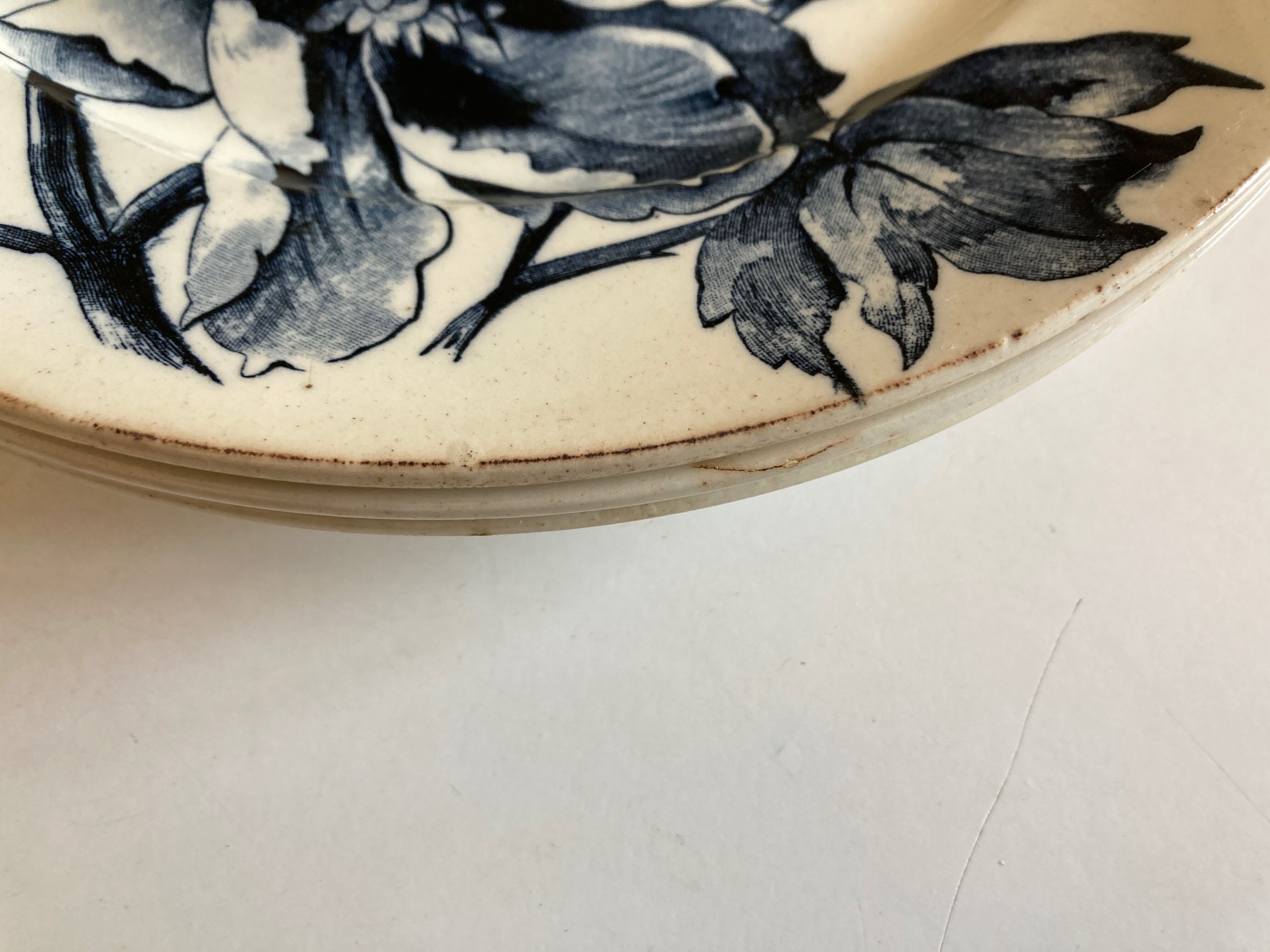 Set of 6 plates poppies faience of Gien 19th decoration Summer