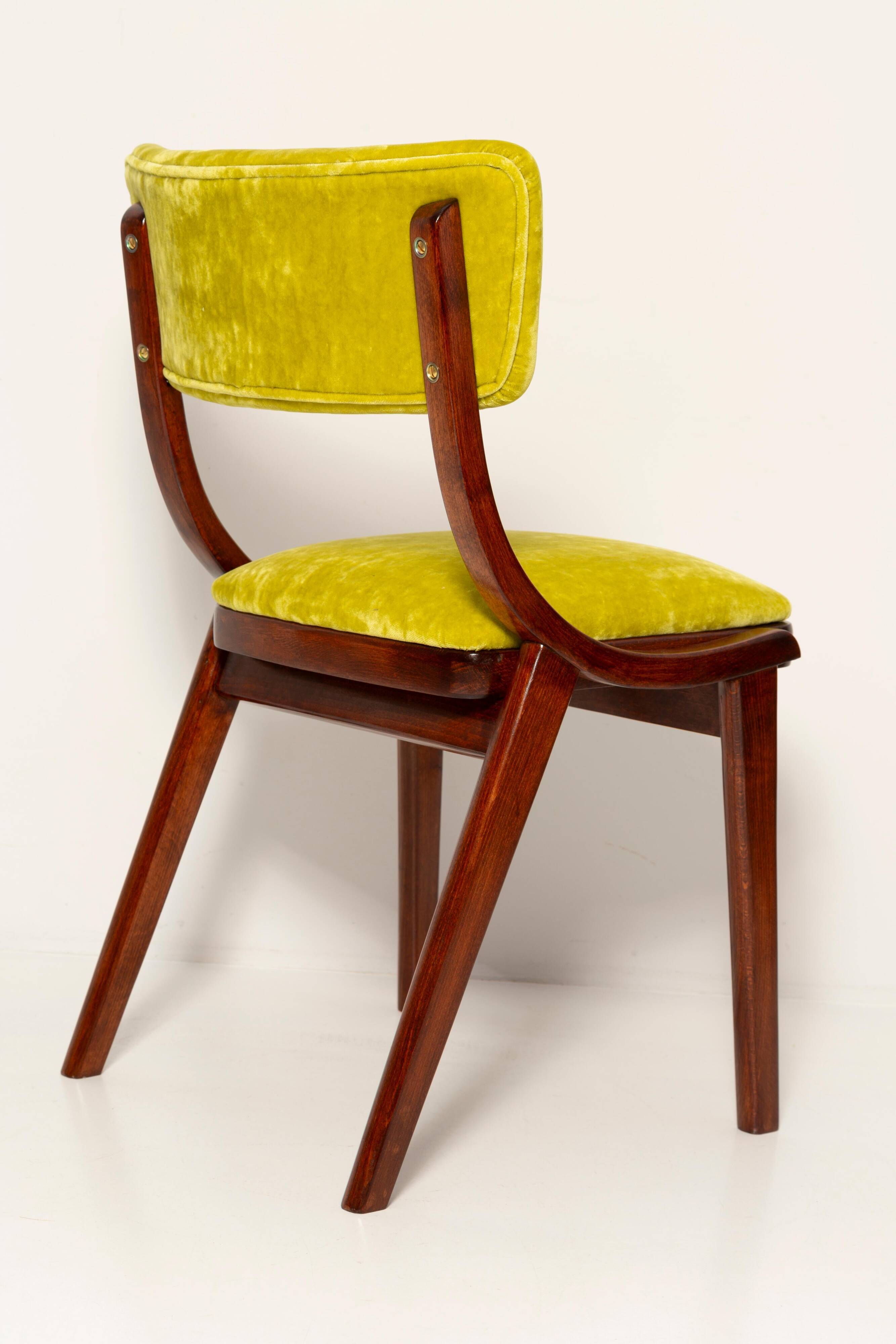 Chaise Mid-Century Moderne, Velours Vert Citron, FR Dedar, Pologne, Années 1960