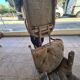 Chesterfield armchair with folding footrest