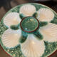 6 vintage slip oyster plates