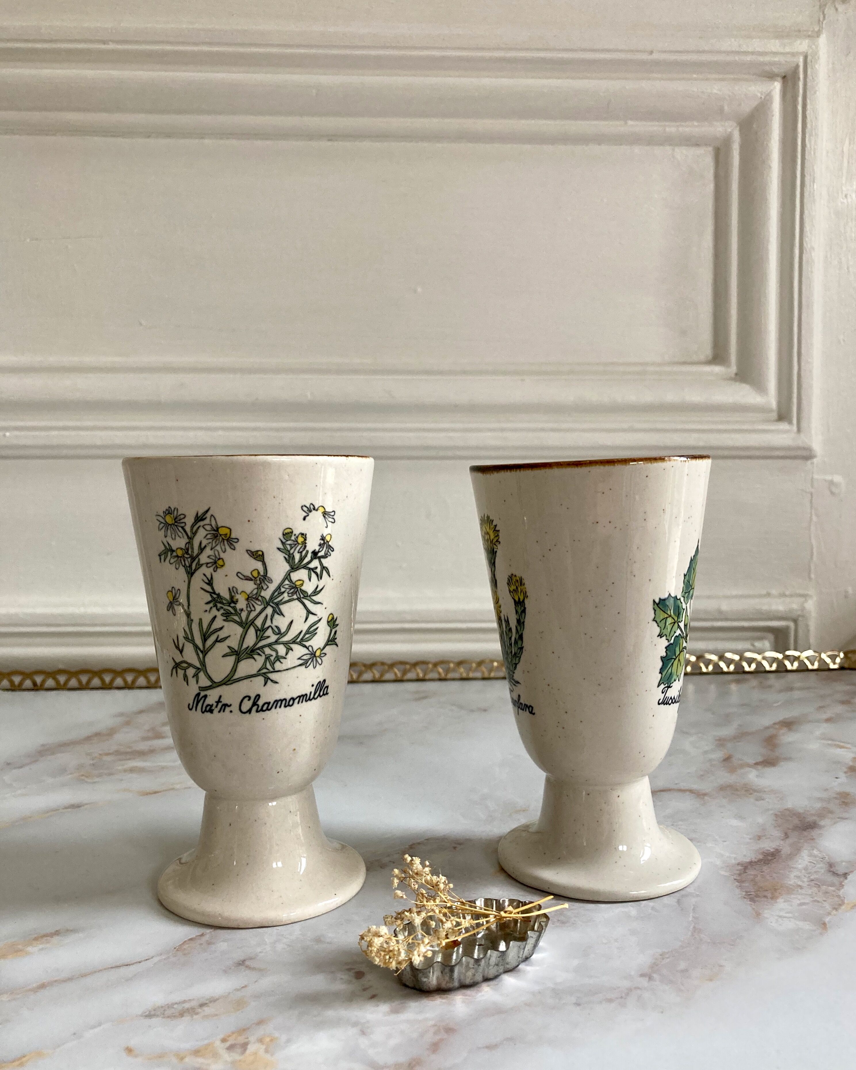 Paire de mazagrans tasses herbier