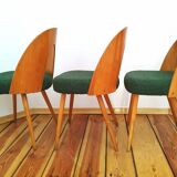 Set of chairs designed by A.Suman, Czechoslovakia, the 60s