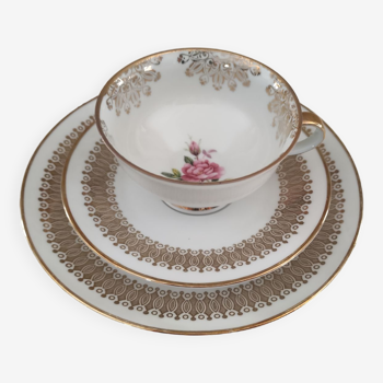 Solitaire en porcelaine Bavaria décor floral Trio tasse, sous-tasse et assiette à dessert