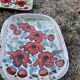 4 Plates by Kurt Brunner and Monique Pansier (Poterie du Verseau, Vallauris)