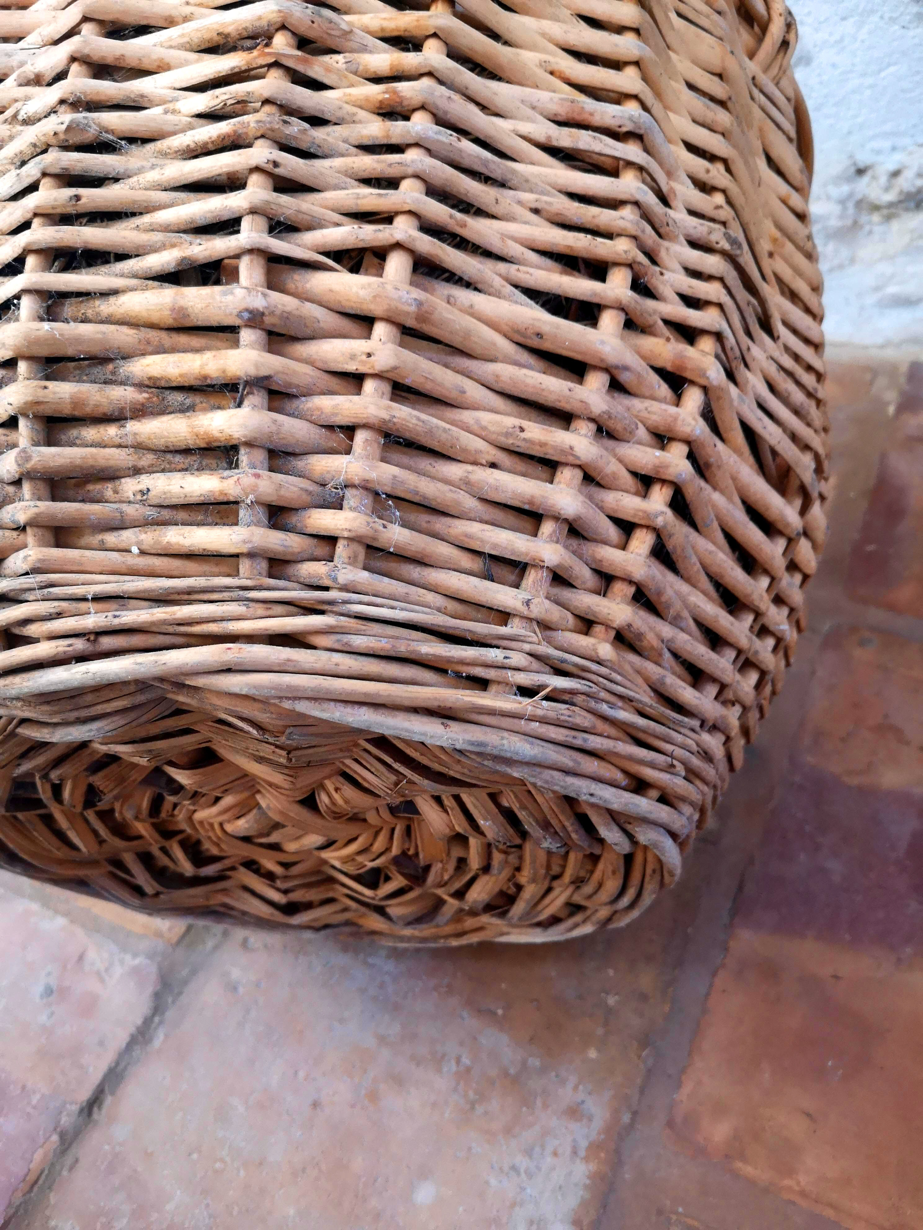 Mulched demijohn