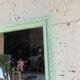 Small decorative mirror - plant decor