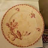 Cactus Gien model serving dish