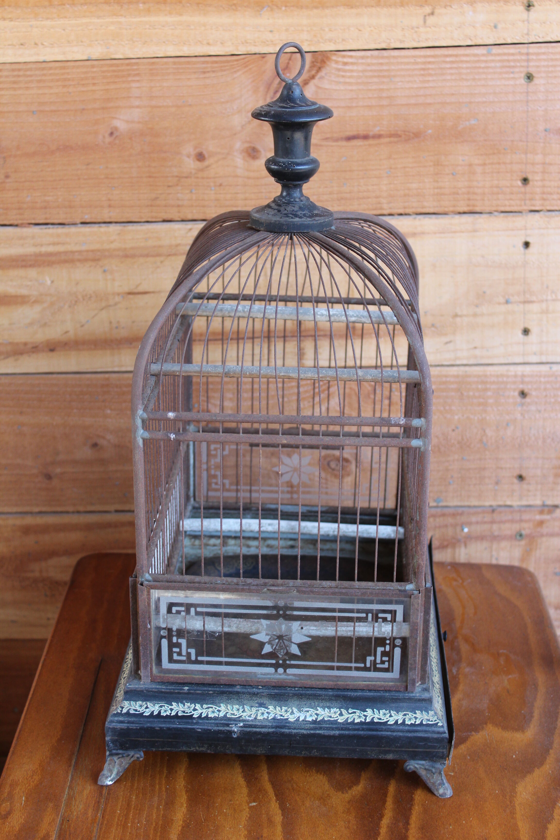 Napoleon Bird Cage 3