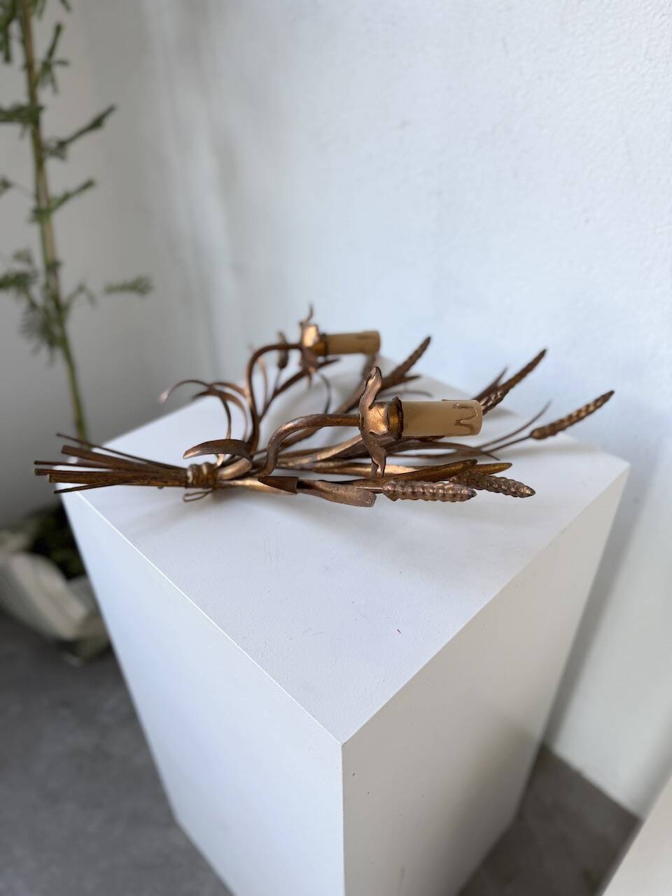 “Ear” wall light in gilded brass