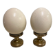 Pair of ostrich egg