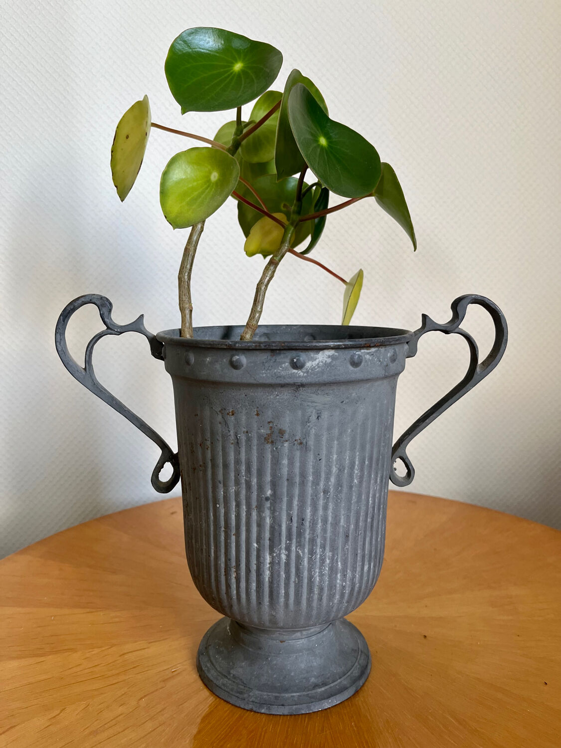 Medici vase in ancient patinated iron