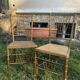 Paire de chaises cannées en bois doré